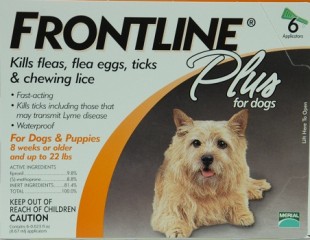 Frontline plus  for dogs up to 22 pounds 6 month