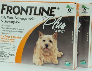 Frontline Plus for Dogs up to 22 pounds 12 Month