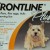 Frontline plus  for dogs up to 22 pounds 6 month