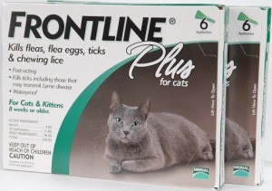 Frontline Plus for cate 12 month